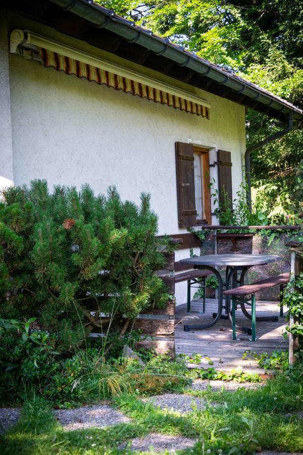 Ferienhaus SchetterЭгг Экстерьер фото